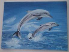 delfini-2