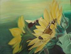 floarea-soarelui-de-sabina-vrabie