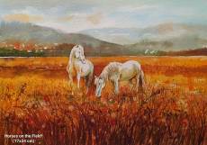 horses-on-the-field-2