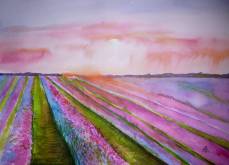 lavender-landscape-7