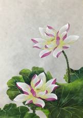 lotus-flowers-1