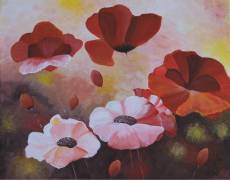 passion-for-poppies