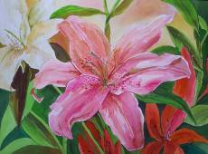 pink-lilies-2