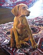 portrait-of-a-golden-puppy