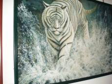 tigru-alb-de-margareta-kiss
