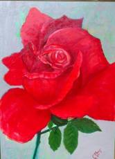 trandafir-rosu