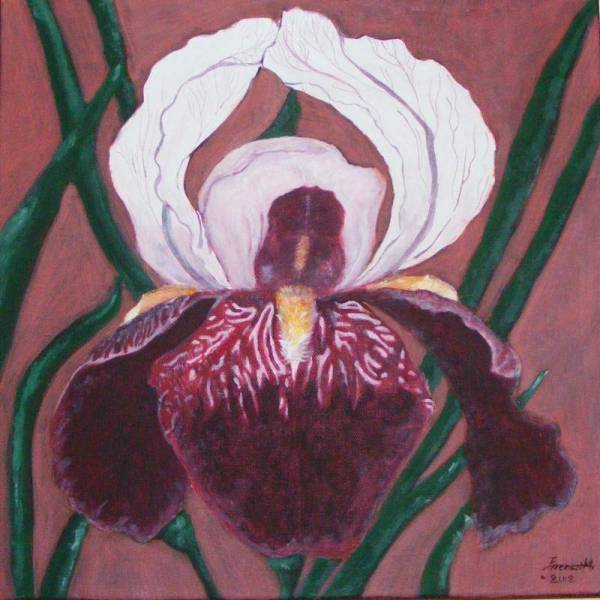„Iris” de Mirela Ferenczi