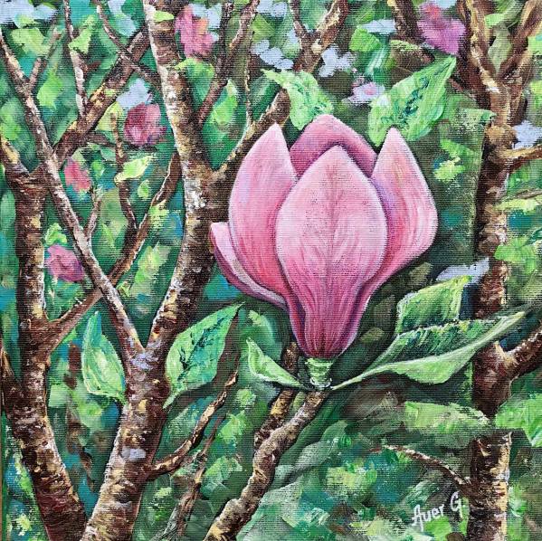 „Magnolia” de Gabriela Auer