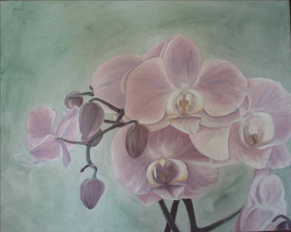 „Orhidee” de Sabina Vrabie